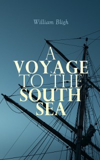 Cover A Voyage to the South Sea