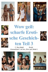 Cover Wow geil, scharfe erotische Geschichten Teil 3