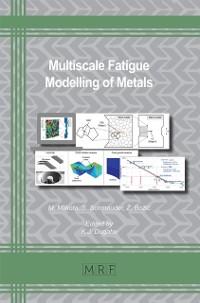 Cover Multiscale Fatigue Modelling of Metals