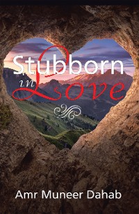 Cover Stubborn in Love