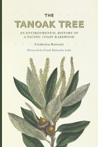 Cover The Tanoak Tree