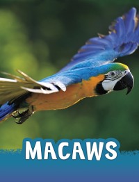 Cover Macaws