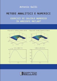 Cover Metodi Analitici e Numerici. Esercizi di calcolo numerico in ambiente Matlab