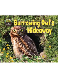 Cover Burrowing Owl's Hideaway