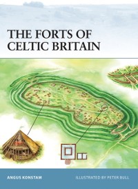 Cover The Forts of Celtic Britain
