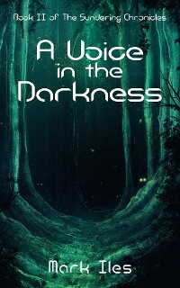 Cover A Voice in the Darkness