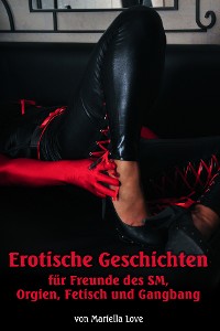 Cover Erotische Geschichten für Freunde des SM, Orgien, Fetisch und Gangbang