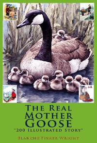 Cover The Real Mother Goose