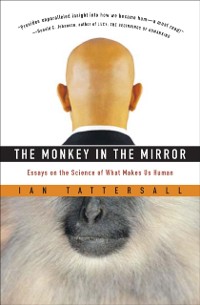 Cover Monkey in the Mirror