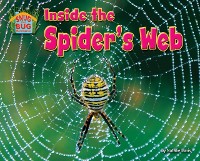 Cover Inside the Spider's Web