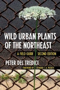 Cover Wild Urban Plants of the Northeast