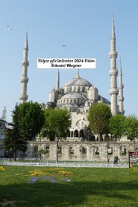 Cover Diğer görünümler 2024 Ekim