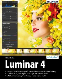 Cover Luminar 4