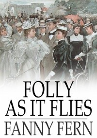 Cover Folly as It Flies