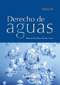 Cover Derecho de Aguas Tomo VI