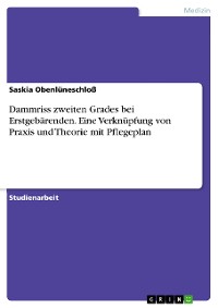 Cover Dammriss zweiten Grades bei Erstgebärenden. Eine Verknüpfung von Praxis und Theorie mit Pflegeplan