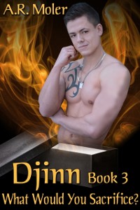 Cover Djinn 3: What Would You Sacrifice?