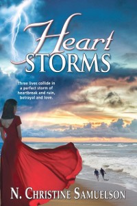 Cover Heart Storms