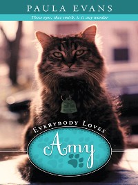 Cover Everybody Loves Amy