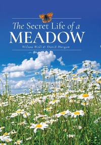 Cover Secret Life of a Meadow