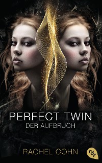 Cover Perfect Twin - Der Aufbruch