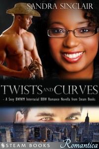 Cover Twists and Curves - A Sexy BWWM Interracial BBW Romance Novella from Steam Books