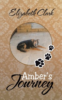 Cover Amber's Journey