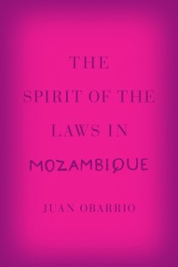 Cover Spirit of the Laws in Mozambique