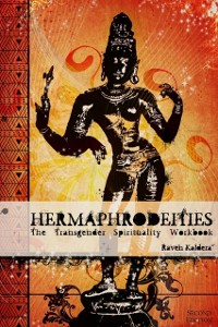 Cover Hermaphrodeities: The Transgender Spirituality Workbook