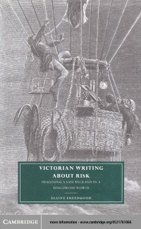 Cover Victorian Writing about Risk