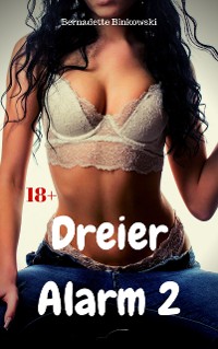 Cover Dreier Alarm 2