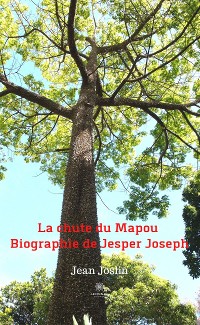 Cover La chute du Mapou