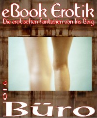 Cover eBook Erotik 016: Büro