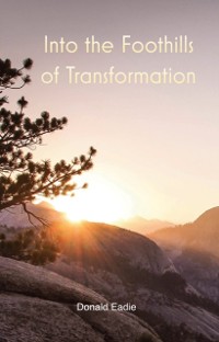 Cover Into the Foothills of Transformation