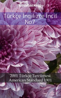 Cover Türkçe İngilizce İncil No7