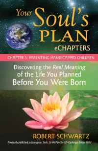 Cover Your Soul's Plan eChapters - Chapter 3: Parenting Handicapped Children