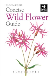 Cover Concise Wild Flower Guide