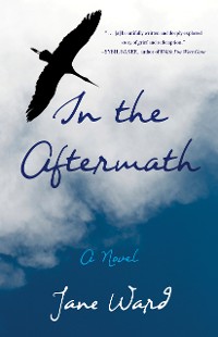 Cover In the Aftermath