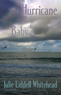 Cover Hurricane Baby: Stories