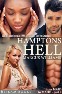 Cover Hamptons Hell - A Sexy Billionaire Interracial BWWM Romance Short Story from Steam Books