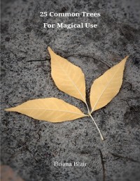Cover 25 Common Trees for Magical Use