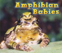 Cover Amphibian Babies