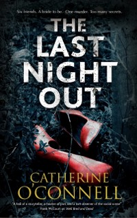 Cover The Last Night Out : A psychological thriller