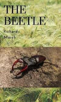 Cover The Beetle
