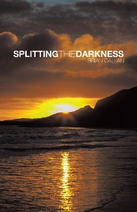 Cover Splitting the Darkness