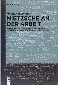 Cover Nietzsche an der Arbeit