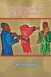 Cover Bye Bye Baby Boy, Big Boy Blues