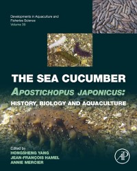 Cover Sea Cucumber Apostichopus japonicus