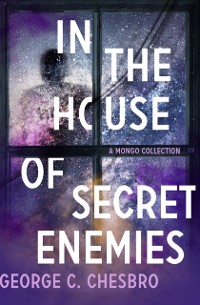 Cover In the House of Secret Enemies