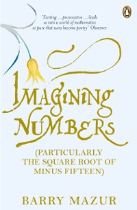 Cover Imagining Numbers